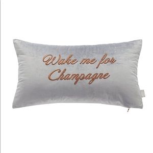 Ted Baker Velvet Pillow